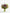 Hold Me Near - Alissar Flowers Dubai