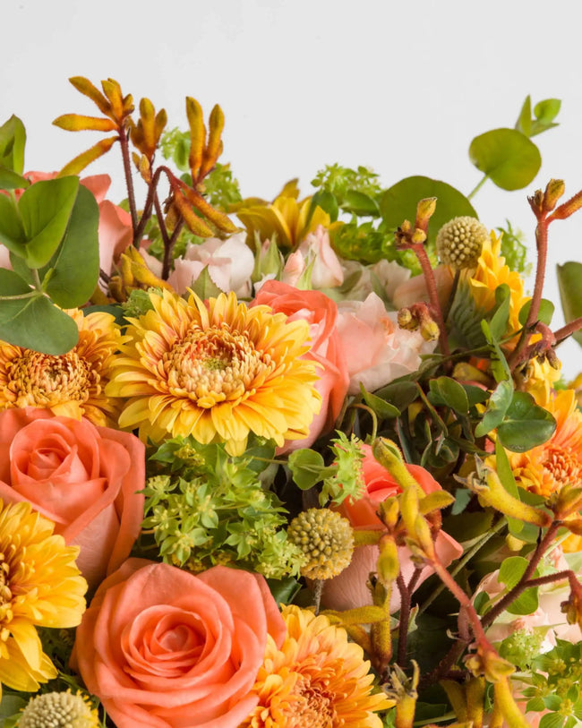 Hold Me Sublime - Alissar Flowers Dubai